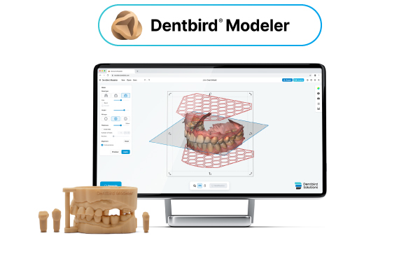 Dentbird Modeler機能