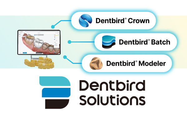 Dentbird Solution